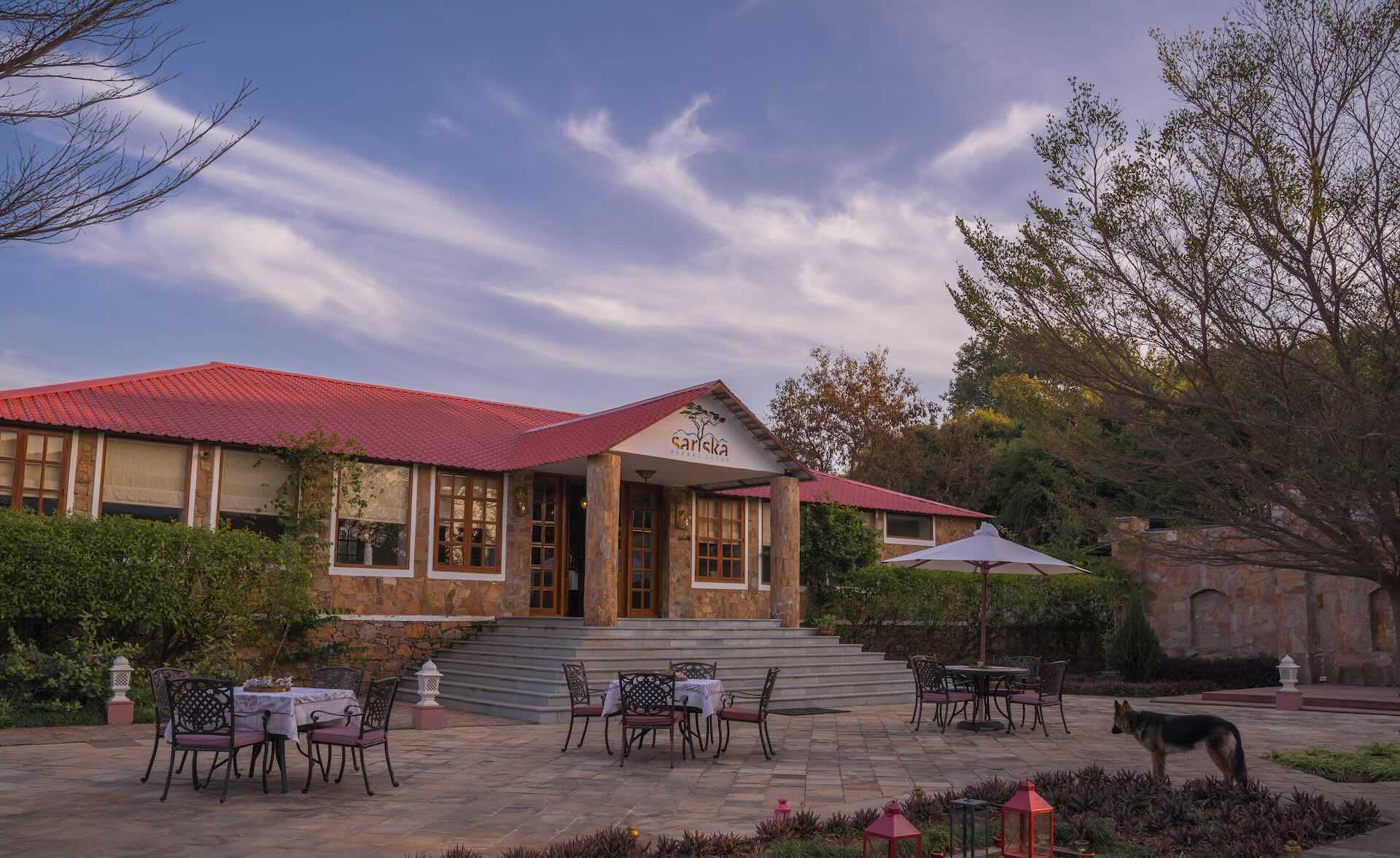 Sariska Wilderness Identity