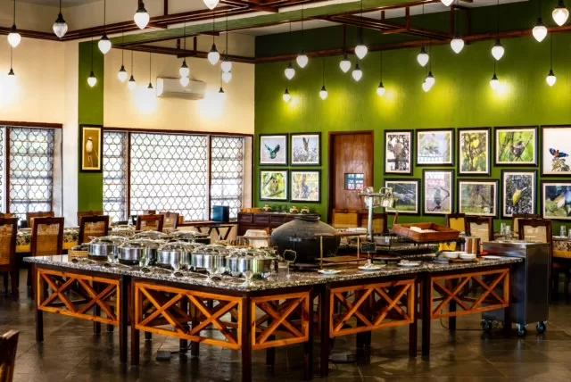 An Immersive Dining Experience; The Bird Restaurant