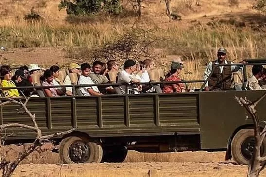 Tiger safari by Canter